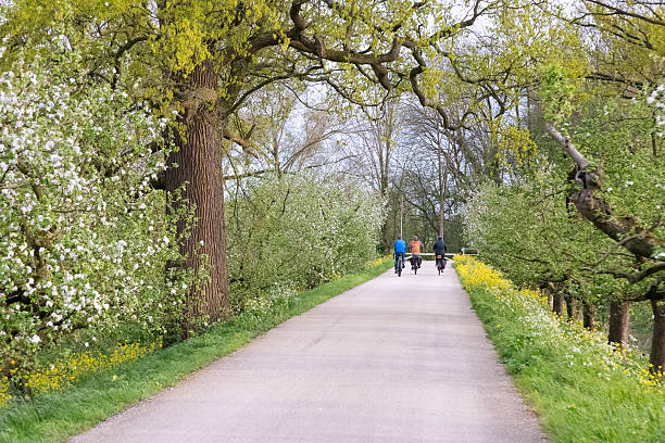 Peaceful walking path in the Netherlands countryside